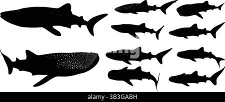 Eine Reihe von Haifischsilhouetten, einschließlich eines detaillierten Walhais und verschiedener anderer Arten Stock Vektor