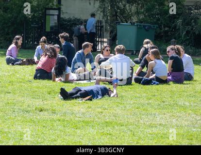 London, Großbritannien. April 2025. Mitarbeiter des britischen WETTERBÜROS genießen die Frühlingssonne in Victoria Tower Gardens London UK Credit: Ian Davidson/Alamy Live News Stockfoto