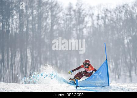 24. Februar 2018: Beim parallelen Riesenslalom bei den olympischen winterspielen in Gangneung Südkorea. Ulrik Pedersen/CSM(Kreditbild: &Copy; Ulrik Pedersen/CSM via ZUMA Wire) Stockfoto
