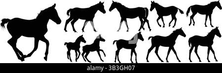 Detaillierte Silhouetten von Galoppierpferden und Walking Horse und Fohlen, die Pferdegrace illustrieren Stock Vektor