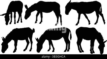 Detaillierte Silhouetten von Galoppierpferden und Walking Horse und Fohlen, die Pferdegrace illustrieren Stock Vektor