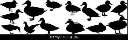 Elegante Kollektion von Silhouetten der Schwarzen Mallard-Ente in verschiedenen Posen Stock Vektor