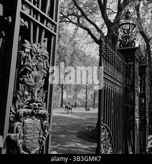 Ein Blick durch eines der fünf Paar kunstvoller gusseiserner Tore am Queen's Gate, das von Kensington Gore südlich des Parks in den Hyde Park führt (1955–1965). Stockfoto