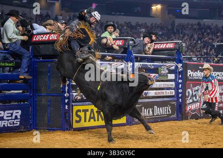 24. Februar 2018 - Arlington, Texas, USA - professionelle Bull Riders im Einsatz während des WinStar Casino and Resort Iron Cowboy Bull Riding Events im AT & T Stadion in Arlington, Texas. (Bild: © Dan Wozniak via ZUMA Wire) Stockfoto