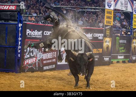 24. Februar 2018 - Arlington, Texas, USA - professionelle Bull Riders im Einsatz während des WinStar Casino and Resort Iron Cowboy Bull Riding Events im AT & T Stadion in Arlington, Texas. (Bild: © Dan Wozniak via ZUMA Wire) Stockfoto