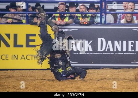 24. Februar 2018 - Arlington, Texas, USA - professionelle Bull Riders im Einsatz während des WinStar Casino and Resort Iron Cowboy Bull Riding Events im AT & T Stadion in Arlington, Texas. (Bild: © Dan Wozniak via ZUMA Wire) Stockfoto