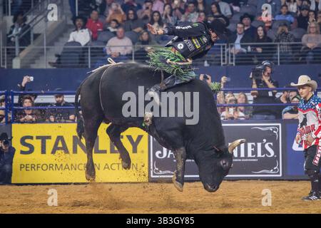 24. Februar 2018 - Arlington, Texas, USA - professionelle Bull Riders im Einsatz während des WinStar Casino and Resort Iron Cowboy Bull Riding Events im AT & T Stadion in Arlington, Texas. (Bild: © Dan Wozniak via ZUMA Wire) Stockfoto