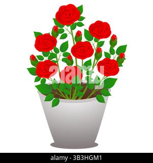Rote Rosen in einem Topf auf weißem Hintergrund. Stock Vektor