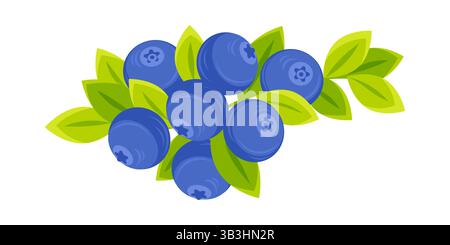 Frische Heidelbeeren, die auf einem Zweig mit grünen Blättern wachsen Stock Vektor