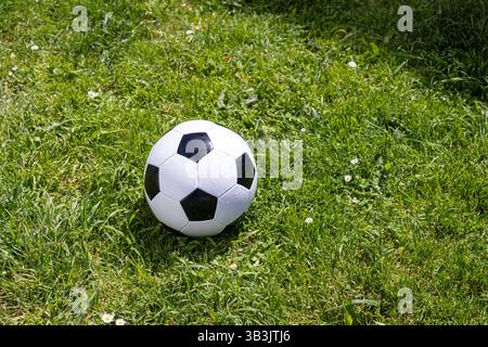 Der klassische Fußball aus Leder liegt auf einem grünen Rasenfeld mit kleinen weißen Blumen Stockfoto