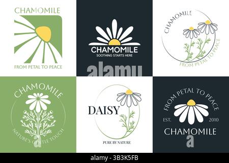 Satz des Vektorlogos der Kamillenblüte. Moderne handgezeichnete Vektor-Gänseblümchen-Symbole. Markenkonzept für pflanzliche Medizin, Markenidentität für ätherische Öle, Stock Vektor