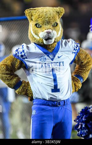 11. November 2017: Wildcat, das Maskottchen der Kentucky Wildcats und der Vanderbilt Commodores im Vanderbilt Stadium in Nashville. TN. Thomas McEwen/CSM (Credit Image: &Copy; Thomas McEwen/CSM via ZUMA Wire) Stockfoto