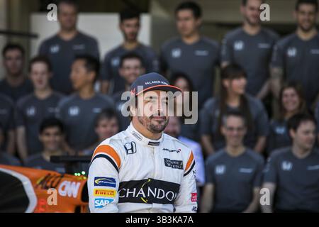 November 2017 - Sao Paulo, Sao Paulo, Brasilien - November 2017 - Sao Paulo, Sao Paulo, Brasilien - FERNANDO ALONSO McLaren Honda Fahrer. Es geschieht am Sonntag (12), dem Großen Preis Brasiliens der Formel 1, auf der autodromo-Strecke von Interlagos in Sao Paulo. (Kreditbild: © Marcelo Chello Via ZUMA Wire) Stockfoto