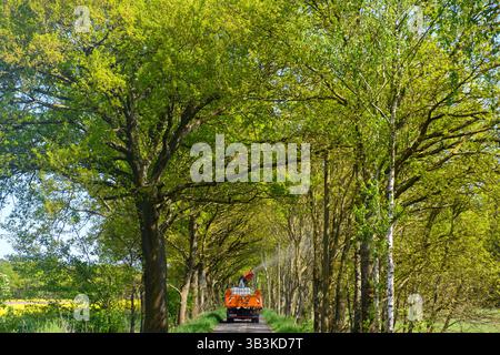 PRODUKTION - 29. April 2025, Sachsen-Anhalt, Mieste: Ein LKW mit montierter Spritzpistole fährt durch eine Allee, in der unter anderem Eichen leben. Die Hansestadt Gardelegen begann am 28. April 2025 mit dem Kampf gegen den Eichenprozessionär. In dieser Woche sollen rund 10.000 Bäume in der gesamten Gemeinde Gardelegen gesprüht werden. Das biologisch abbaubare Bakterium „Bacillus thuringiensis“ wird gesprüht. Die Raupen der Eichenprozessionäre fressen das Bakterium zusammen mit den Eichenblättern und verhungern dann. Die stechenden Haare der Raupen sind gefährlich für Mensch und Tier A Stockfoto