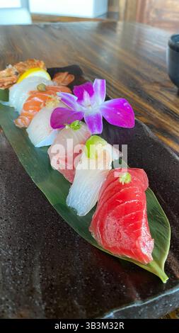 Kunst auf einem Teller – lebendiges, frisches Sushi, das mit Präzision gefertigt und bis zur Perfektion verarbeitet wurde. Stockfoto