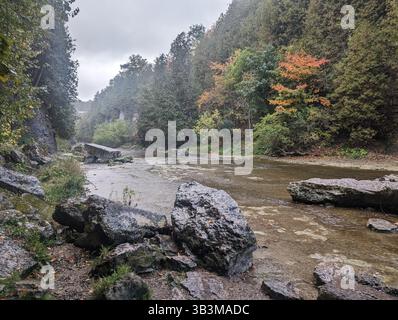 Ein flacher Bach fließt durch eine felsige Waldschlucht, umgeben von Bäumen und verstreuten Herbstblättern. Eine ruhige und stimmungsvolle Naturszene. Stockfoto