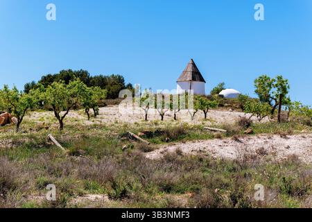 Traditionelle Windmühle auf einem Hügel. Fernán Pérez, Almería, Níjar, Andalucía, Spanien, Europa Stockfoto