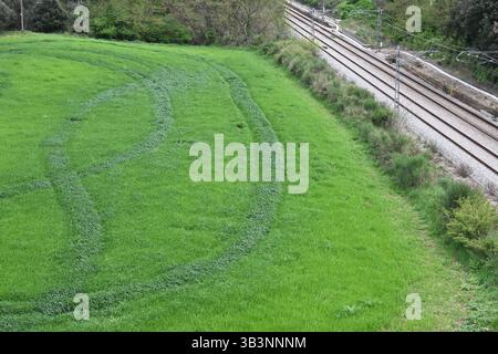 Grünes landwirtschaftliches Feld mit gekrümmten Fahrzeuggleisen neben Eisenbahnschienen, was die Koexistenz von landwirtschaftlich genutztem Land und ländlicher Infrastruktur verdeutlicht. Stockfoto