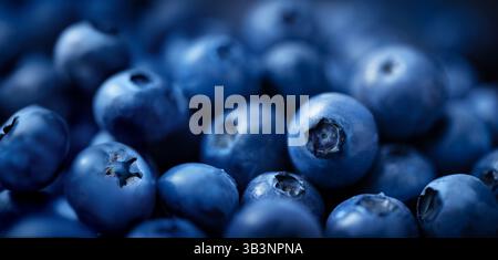 Nahaufnahme frischer Heidelbeeren, die ihre satte Farbe, einzigartige Textur und appetitlichen Saft hervorheben Stockfoto