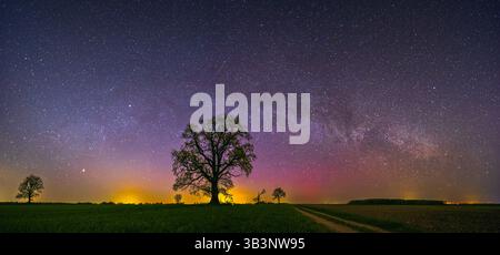 Landschaft mit Milchstraßengalaxie. Nachthimmel mit Sternen Stockfoto