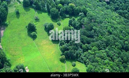 Aufforstung von Mischwäldern - Luftaufnahme gesunder Naturwälder und Wiesen in der Naturlandschaft - nachhaltige Umwelt und Forstwirtschaft. Stockfoto