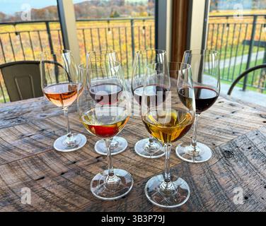 Flug mit Weinprobe mit Weingut der Erntesaison in verschwommenem Hintergrund Stockfoto
