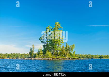 Riesige Weißkiefern wachsen auf einer winzigen Insel am Saganaga Lake in den Boundary Waters in Minnesota Stockfoto