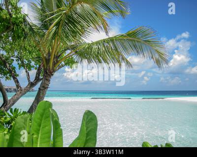Panorama des tropischen Strandes mit Kokospalmen und Wasservillen. Tropische Landschaft mit Sommerlandschaft, weißer Sand mit Palmen. Luxusreisen V Stockfoto