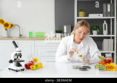Wissenschaftlerin mit Probenkolben, Sonnenblumensamen und Sprossen im Labor Stockfoto