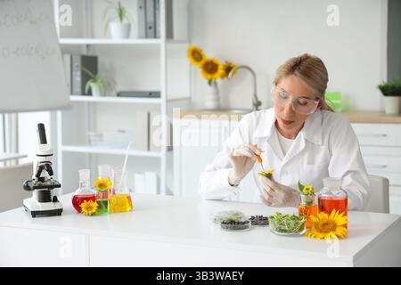 Wissenschaftlerin mit Probenkolben, Sonnenblumensamen und Sprossen im Labor Stockfoto