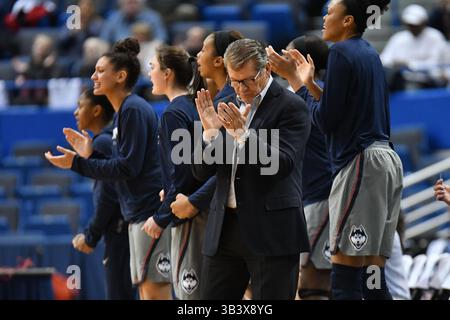 4. Februar 2017: Cheftrainer Geno Auriemma von den UConn Huskies reagiert auf einen Plaly während eines Spiels gegen Cincinnati Bearcats im XL Center in Hartford, CT. Gregory Vasil/CSM(Kreditbild: &Copy; Gregory Vasil/CSM via ZUMA Wire) Stockfoto