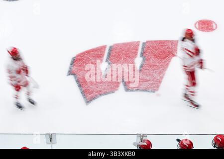 Minneapolis. März 2025. Die Spieler der Wisconsin Badgers laufen während des NCAA Women's Hockey Frozen Four Meisterschaftsspiels zwischen Ohio State und Wisconsin in der Ridder Arena in Minneapolis auf die Bank. Steven Garcia-CSM/Alamy Live News Stockfoto