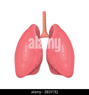 Lungen Symbol, flacher Stil. Die inneren Organe des menschlichen Element der Gestaltung, Logo. Anatomie, Medizin Konzept. Healthcare. Auf weissem Hintergrund. Vektor Stock Vektor