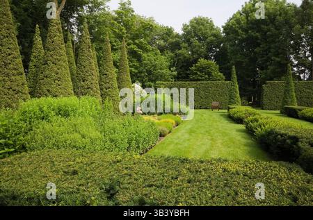 Braune hölzerne Sitzbank auf gepflegtem grünen Rasen mit geschnittenen Thuja - Zedernbäumen und Hecken im Garten im Sommer. Stockfoto