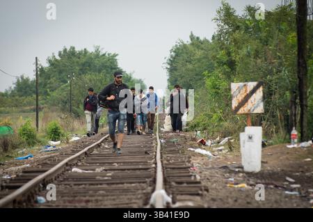 11. September 2015: Flüchtlinge, die nach der Bahnüberquerung von Serbien in ungarisches Gebiet geflogen sind. - Tausende von Serbien nach Ungarn überqueren weiterhin die Grenze, während die ungarische Regierung versucht, den Flüchtlingsstrom zu kontrollieren, indem sie die Grenze blockiert. September 2015 (Credit Image: © Geovien so Via ZUMA Wire) Stockfoto