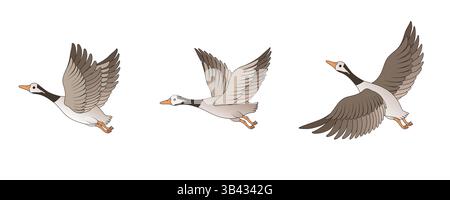 Vektorillustration von fliegenden Gänsen Stock Vektor