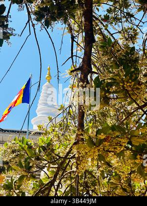 Heilige buddhistische Stupa, die hoch unter dem Himmel steht und Frieden, Erleuchtung und das spirituelle Erbe der alten Traditionen Sri Lankas symbolisiert. Stockfoto
