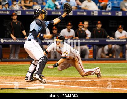 20. September 2015 - Tampa, Florida, USA - WILL VRAGOVIC | Times.Baltimore Orioles Shortstop Paul Janish (15) erzielt im achten Inning des Spiels zwischen den Tampa Bay Rays und den Baltimore Orioles im Tropicana Field in St. Petersburg, Fla. Am Sonntag, den 20. September 2015 eine Single des Rechtsfeldspielers Gerardo Parra (18). (Bild: © will Vragovic/Tampa Bay Times via ZUMA Wire) Stockfoto