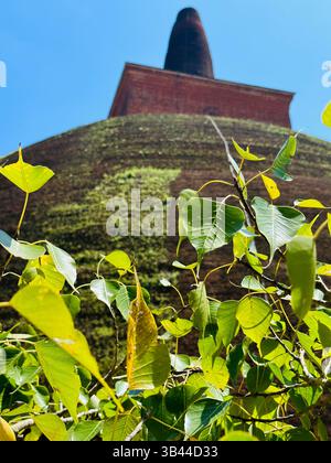 Heilige buddhistische Stupa, die hoch unter dem Himmel steht und Frieden, Erleuchtung und das spirituelle Erbe der alten Traditionen Sri Lankas symbolisiert. Stockfoto