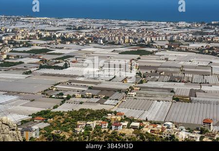 Gewächshäuser. Betrachtung der landwirtschaftlichen Produktion in der Südtürkei. Alanya, Bezirk Antalya, Türkei Stockfoto