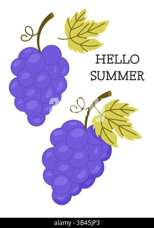 Vektor-Design von lila Trauben mit grünen Blättern und einem „Hallo Sommer“-Gruß auf weißem Hintergrund. Stock Vektor