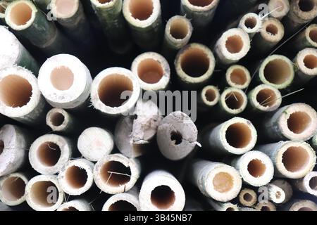 Die Überkopfaufnahme zeigt einen Haufen Bambusstiele mit Hohlmitten, die raue Texturen, natürliche Muster und kreisförmige Formen zeigen. Stockfoto