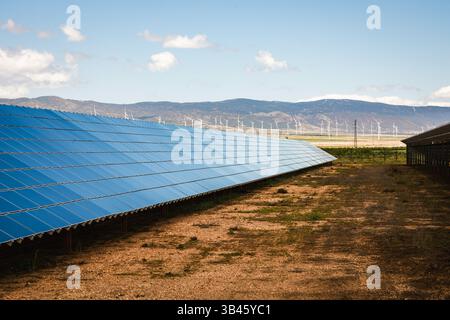 Weitläufige Installation von Solarpaneelen in einem trockenen, ländlichen Feld mit weit entfernten Gebirgszügen und zahlreichen am Horizont sichtbaren Windturbinen Stockfoto