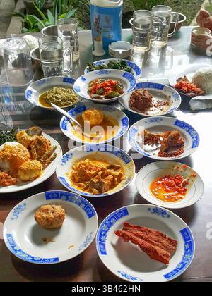Eine Auswahl an Nasi Padang-Gerichten in einem Restaurant in Indonesien, darunter Rinderrendang oder Rendang sapi. Stockfoto