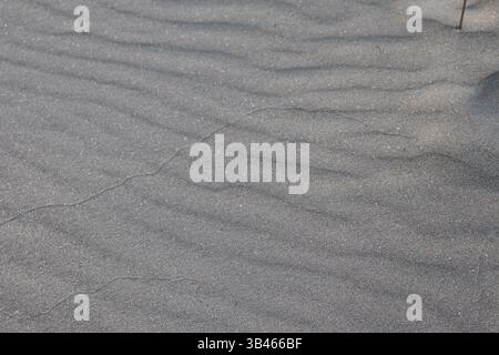 Die detaillierte Ansicht zeigt Sand, der durch strukturierte Kurven gekennzeichnet ist und einen natürlichen Verlauf hervorhebt. Ein einzelner Grashalm verleiht ihm einen natürlichen Touch. Stockfoto