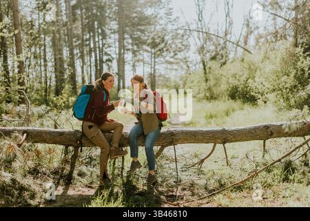 Zwei abenteuerlustige Freunde entspannen sich auf einem gefallenen Baumstamm und genießen die Schönheit und Gesellschaft der Natur in einem sonnendurchfluteten Wald. Stockfoto