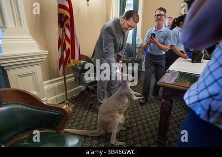 27. Mai 2015 – Sacramento, Kalifornien, USA – Abgeordneter Bill Brough (R) San Juan Capistrano, links, interagiert am Mittwoch, 27. Mai 2015 mit einem roten Känguru im Kapitol des Staates Sacramento. Sea World of San Diego brachte mehrere exotische Tiere ins Kapitol, um Besucher und Gesetzgeber über Tiere und ihren Lebensraum zu informieren. Ihr Ziel war es auch, eine Verbindung zu Tieren herzustellen, um die Menschen mehr für wilde Arten und wilde Orte zu interessieren. Sie brachten ein Rotes Känguru, ein afrikanisches Haubenschwein, einen Pinguin, eine eurasische Uhu und ein Kinkajou mit. (Bild: © Randall Ben Stockfoto