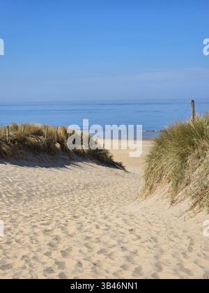 Ein beschaulicher Pfad schlängelt sich durch goldene Sanddünen und führt zu einem ruhigen Strand in den Niederlanden. Das ruhige Meer bildet einen wunderschönen Kontrast zum klaren blauen Himmel und lädt zum Entspannen ein. Stockfoto