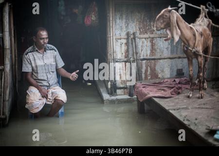 3. September 2015 - Portriat eines Mannes, der seine Hausziege während der Gezeitenflut in Chittagong vom Hochwasser fernhält. Die Gezeitenflut verwüstete den größten Teil des Gebiets von chittagong city.millions von Menschen, die in Gezeitenflut gestürzt sind und das Leben stehen bleiben... in den letzten Jahren, die Gezeitenflut â€“ Wasserstände, die deutlich über die Gezeitenfluten steigen, die Astronomie vorhersagt - hat begonnen, die Stadt zweimal am Tag zu beeinflussen, das führt zu häufigen Überschwemmungen von Wohn- und Geschäftsvierteln... wenn sich die Dinge weiter verschlechtern, könnte der Großteil von Chittagong in naher Zukunft vollständig untergetaucht werden. .. Stockfoto