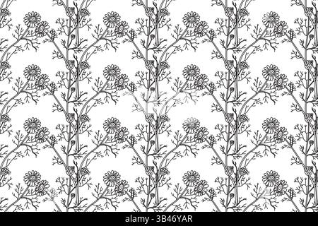 Linie Kunst botanisches nahtloses Blumenmuster mit Blumen Kamillenvektor Illustration. Schwarze Umrandung mit sich wiederholenden Gänseblümchen-Pflanzen auf weißem Hintergrund. Diagramm Stock Vektor